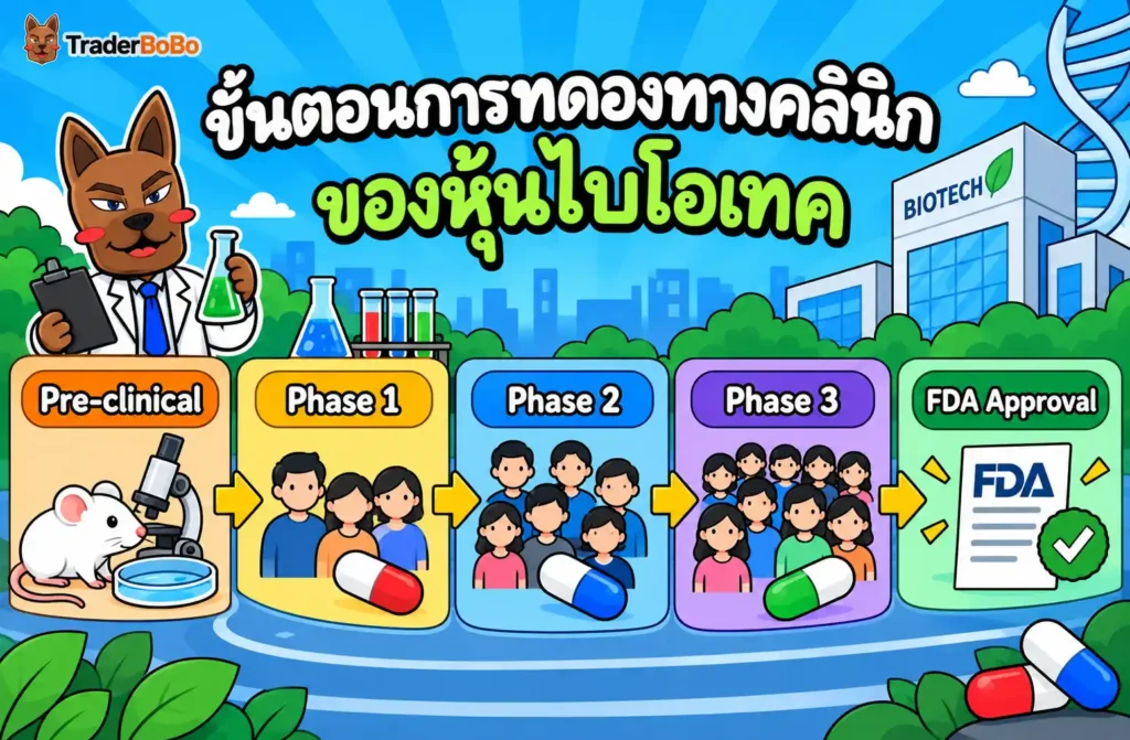 ขั้นตอนการทดลองทางคลินิก Phase 1 ถึง Phase 3 ของหุ้นไบโอเทค ขั้นตอนการทดลองทางคลินิก Phase 1 ถึง Phase 3 ของหุ้นไบโอเทค