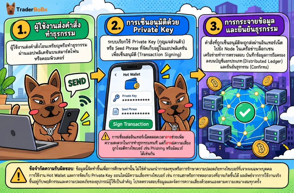 กลไกการทำงานของ Hot Wallet และการจัดการ Private Key