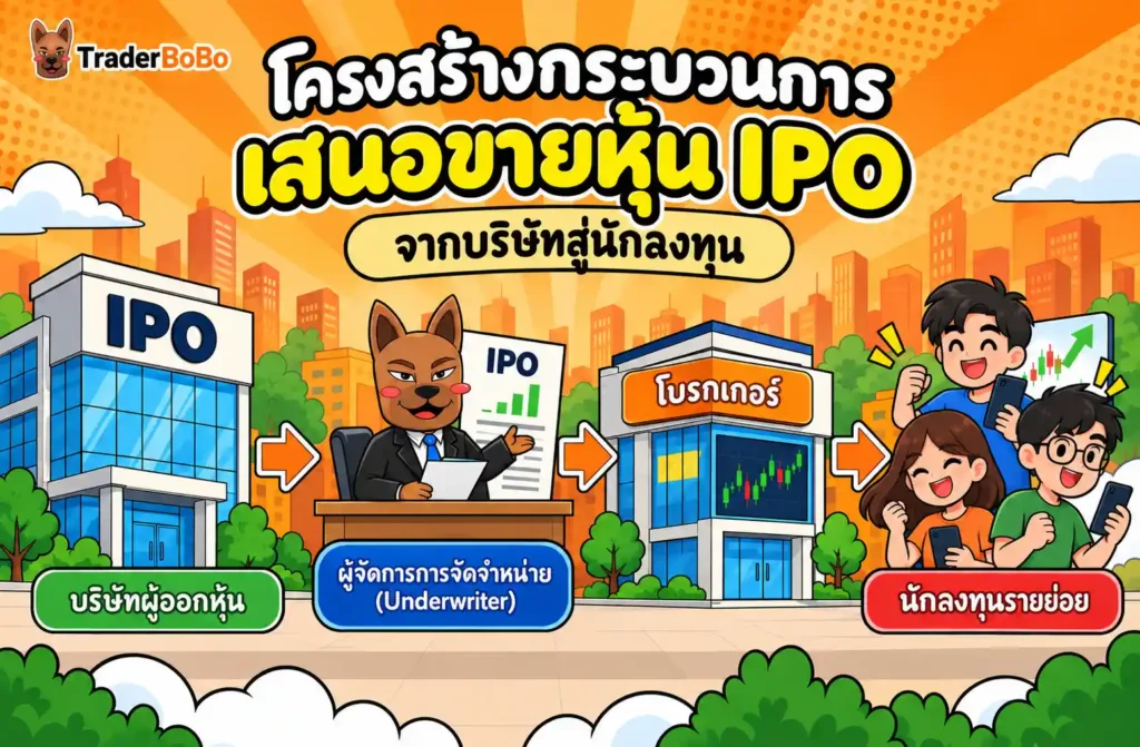 โครงสร้างกระบวนการเสนอขายหุ้น IPO จากบริษัทสู่นักลงทุน โครงสร้างกระบวนการเสนอขายหุ้น IPO จากบริษัทสู่นักลงทุน