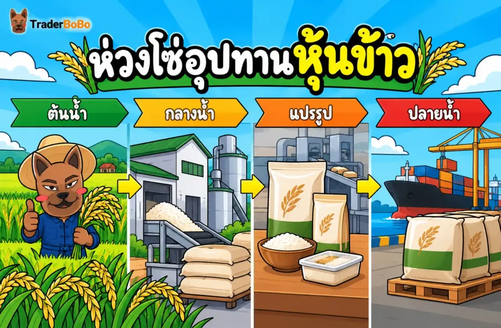 โครงสร้างห่วงโซ่อุปทานหุ้นข้าวตั้งแต่ต้นน้ำถึงปลายน้ำ