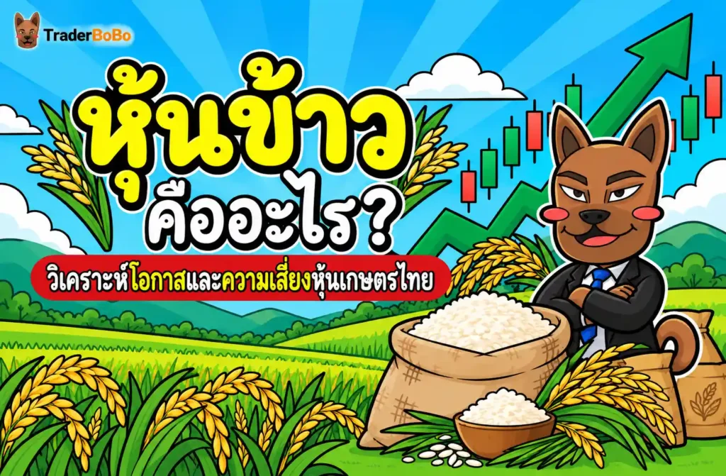 หุ้นข้าว คืออะไร? วิเคราะห์โอกาสและความเสี่ยงหุ้นเกษตรไทย