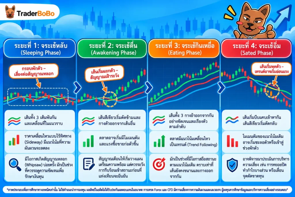 เปรียบเทียบพฤติกรรม 4 ระยะของ Alligator Indicator บนกราฟราคาสกุลเงิน เปรียบเทียบพฤติกรรม 4 ระยะของ Alligator Indicator บนกราฟราคาสกุลเงิน