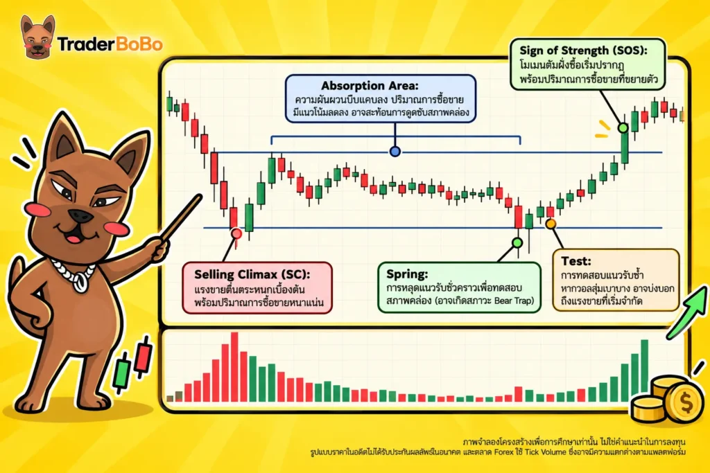 แผนภาพแสดงการดูดซับแรงขายใน Wyckoff Accumulation Pattern
